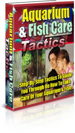 Aquarium Fish Care Tactics